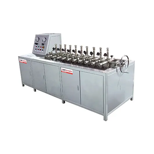 Pressure Gauge Overpressure Equipment. Leak Test Rig