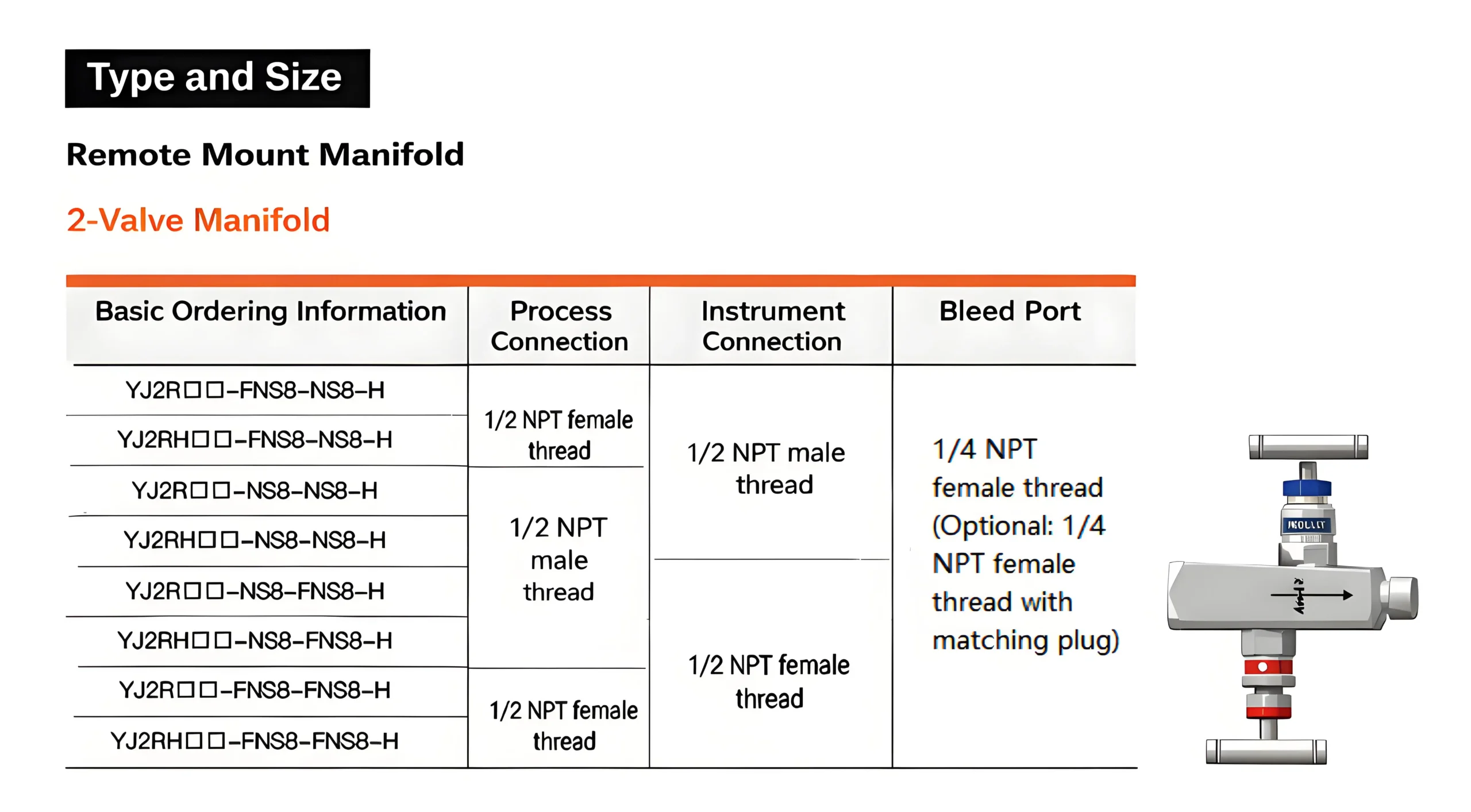 2-Valve Instrument Manifold – Remote Mount 