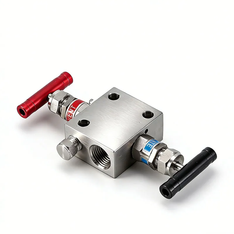 2-Valve Instrument Manifold – Remote Mount